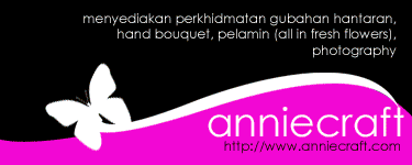 Annie Craft
