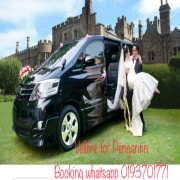 Vellfire For Pengantin