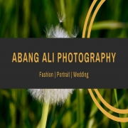 Wedding Photographer