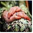 Pelamin, Bantal Nikah, make-up