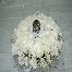 pelamin hantaran hall/table/room deco bunga telur hand bouquet arch red carpet