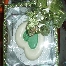 cookies, puding, kek, cup cake