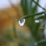 Zuly Photography