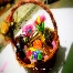  Homemade Coklat Kluang,   Batu Pahat,   Kulai,  Pontian Johor.