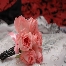 muffin, cup cake, gubahan hantaran, spa, produk kecantikan, katering