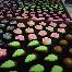 Roselle Homemade Chocolate