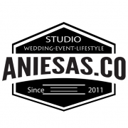 Aniesas.co