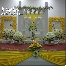 pelamin, kanopi,catering, andaman,cameraman
