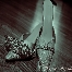 N.A. Pixelwork