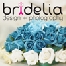 Bridelia Graphic & Photography