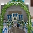 Udin Canopy Services