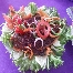 kanopi