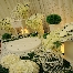 ANDAMAN, PELAMIN, PHOTOGRAPHY, BUSANA