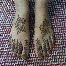 Inai Untuk Pengantin / Henna Designing