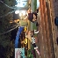 Pid Canopy And Event