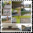 Homestay Pauh, homestay arau