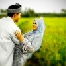 Orientpix