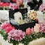 Hantaran Qaseh