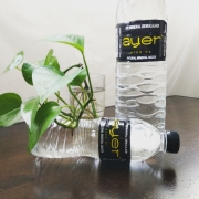 Air Mineral Doorgift Murah