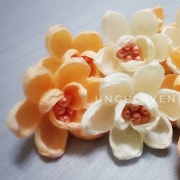Bunga Telur/pahar Sakura