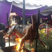 Traf Kambing Golek