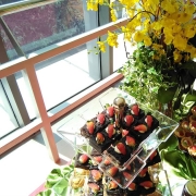 Lynns Catering