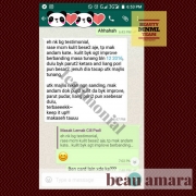 Beau Amara Mobile Spa