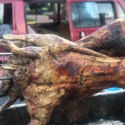 Kambing Bakar