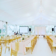 Emcee Zam Pro Sound System Karaoke