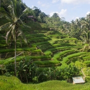 Pakej Honeymoon 3 Hari 2 Malam @ Bali, Indonesia