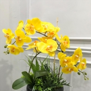 Bunga Hiasan