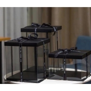 Transparent Cake Box