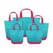 Non Woven Bag Printing Duo Color
