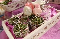 Newlywedsbigday Wedding Deco