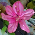 Lovelyt.o.u.c.h. Boutique