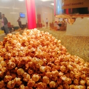 Popcorn Dan Cotton Candy Station