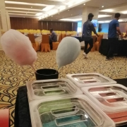 Popcorn Dan Cotton Candy Station