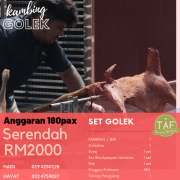 Kambing Golek Kambing Aqiqah Taf Tenang Agro Farm