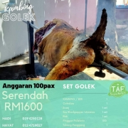 Kambing Golek Alor Setar
