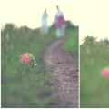 Picturesyndicate Creative & Wedding Photography