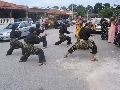 Seni Silat Persembahan Pengantin Professional