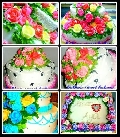 Kakina Sweet Bakery