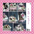 Impian Collection