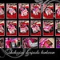 Seriinai Wedding Planner