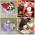 Little Flower Pot And Gifts