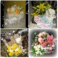 Little Flower Pot And Gifts