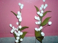 Telur Pindang & Bunga Pinang