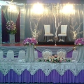 Syamsyais Wedding Planner
