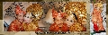 Pakcat Photo & Video