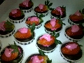 Little Darling Cupcakes